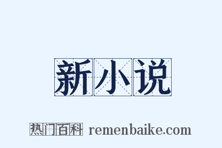 新小说是什么意思的图片